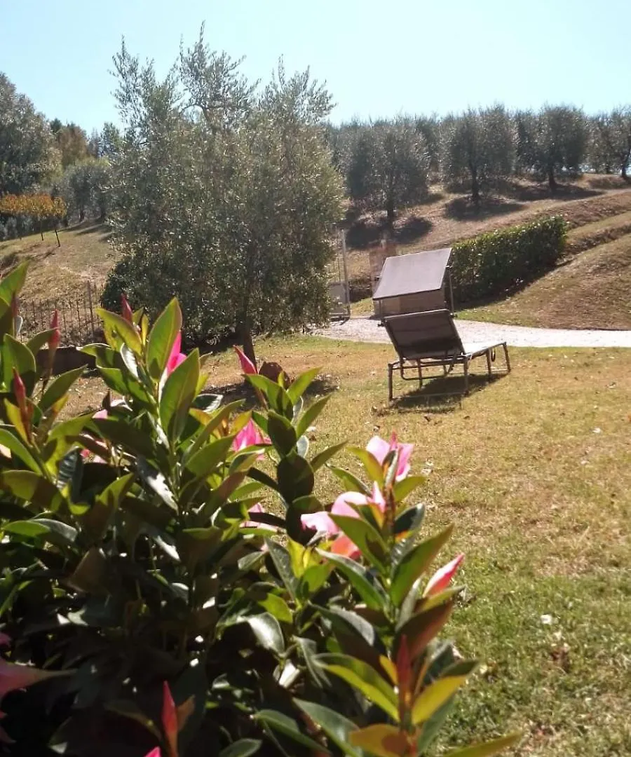 Camere Montalbano San Miniato 0*,  Italia